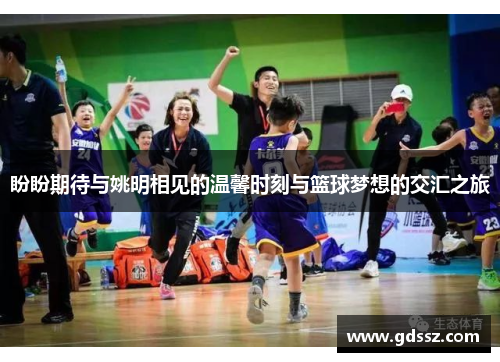 盼盼期待与姚明相见的温馨时刻与篮球梦想的交汇之旅