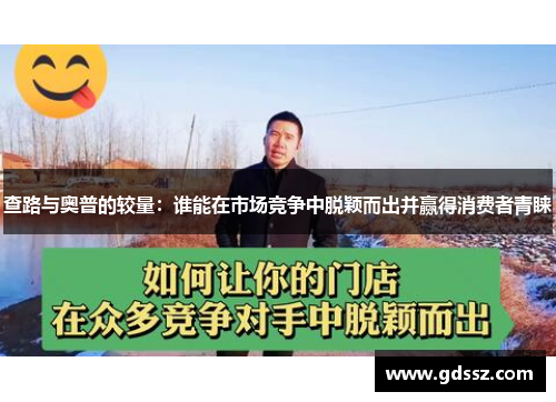 查路与奥普的较量：谁能在市场竞争中脱颖而出并赢得消费者青睐